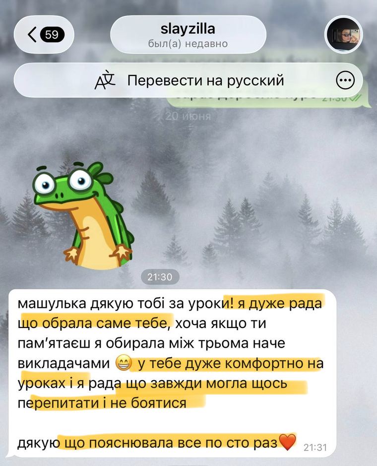 Відгук учня про уроки української мови
